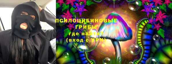 амф Киреевск